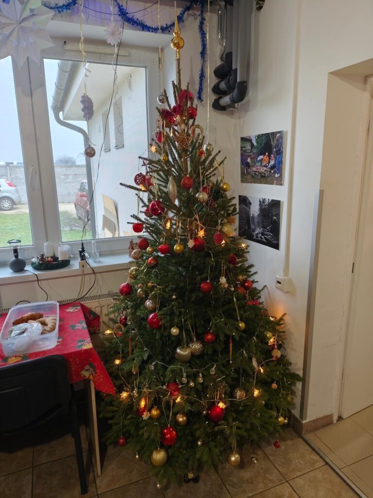 Hajléktalanokat Ellátó Szolgálat falai közé is beköltözött az ünnepi készülődés